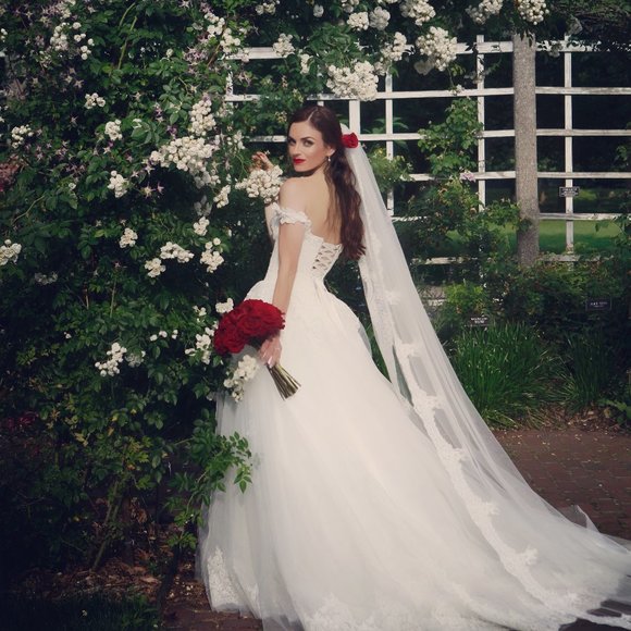 Princess Wedding Gown + Cathedral Veil w/Blusher - Picture 1 of 8